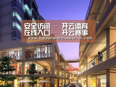 案例展示一(图1)
