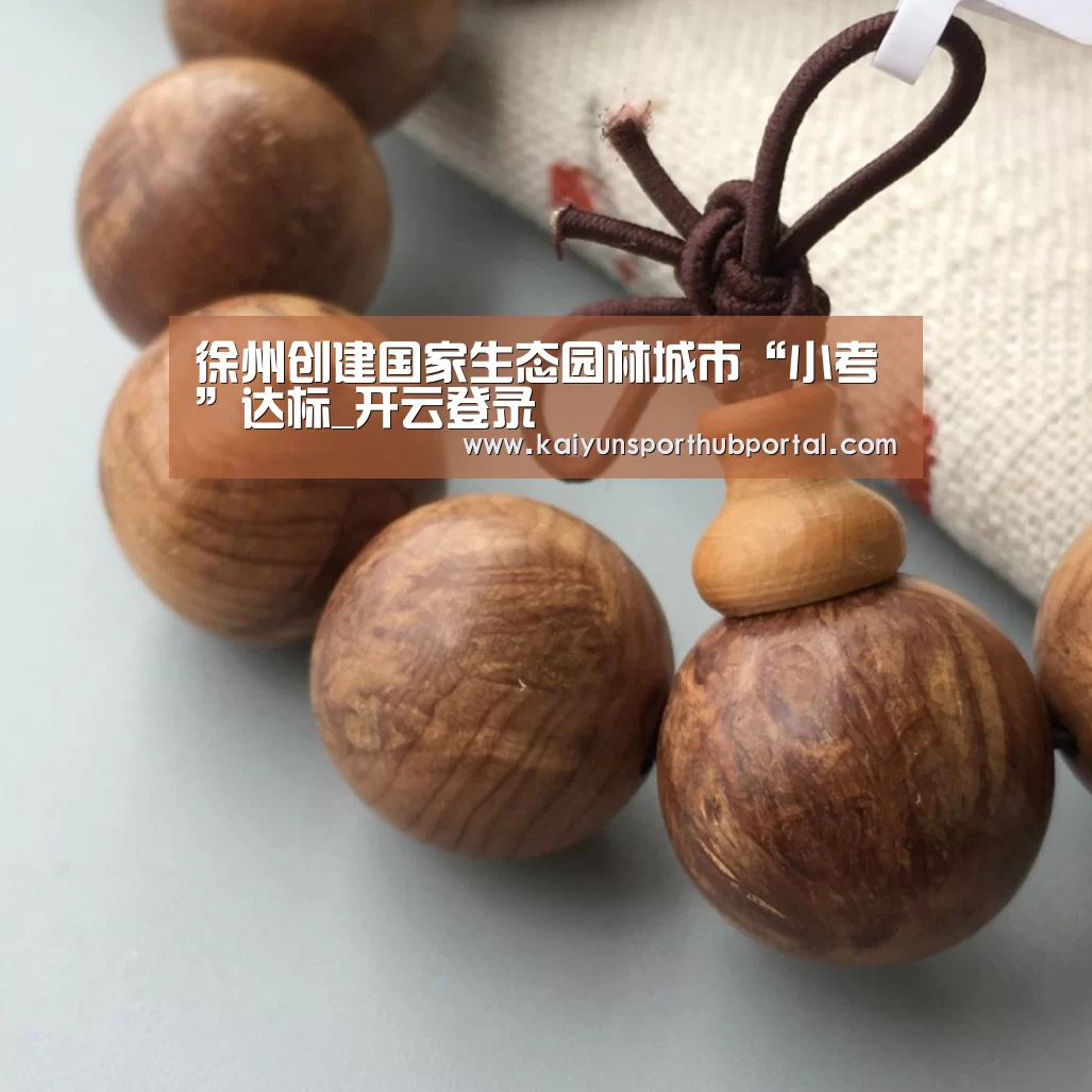 开云体育官网