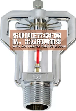 开云体育官方