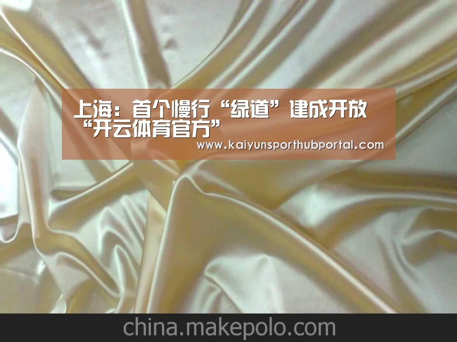 上海:首个慢行“绿道”建成开放“开云体育官方”(图3) 开云体育官方